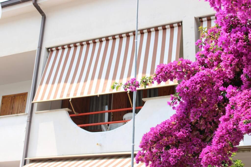 Roma A Un Passo E Il Mare In Casa Apartment Marina di Cerveteri ภายนอก รูปภาพ