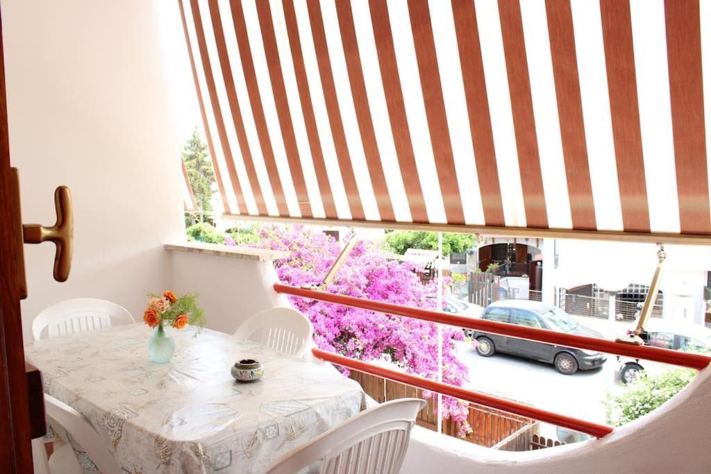 Roma A Un Passo E Il Mare In Casa Apartment Marina di Cerveteri ภายนอก รูปภาพ