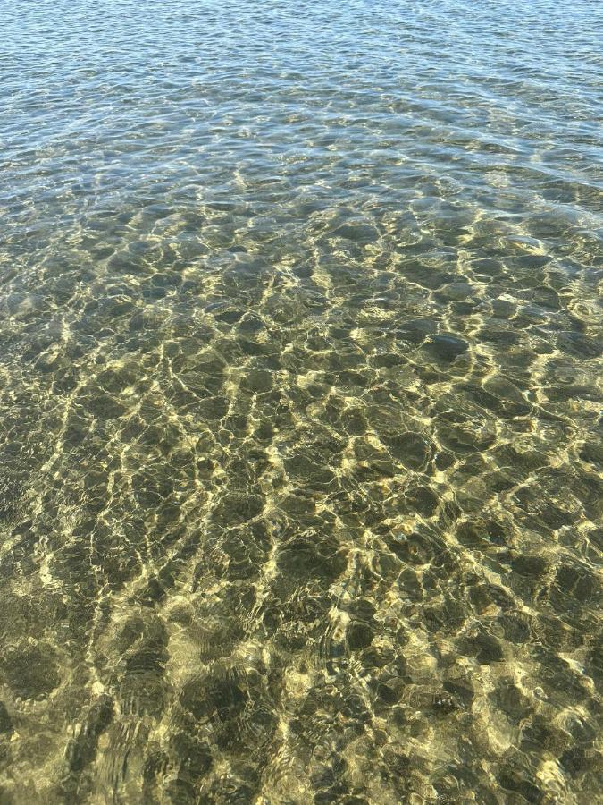 Roma A Un Passo E Il Mare In Casa Apartment Marina di Cerveteri ภายนอก รูปภาพ